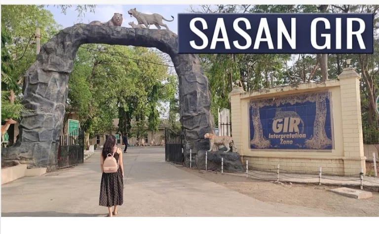 Sasan Gir Safari